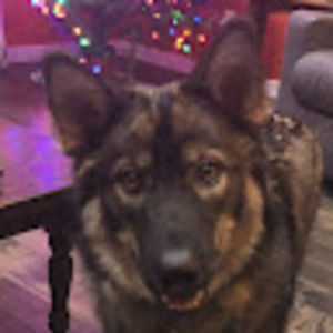 Meet your Posher, Deanndra